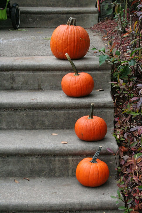 pumpkins-on-steps